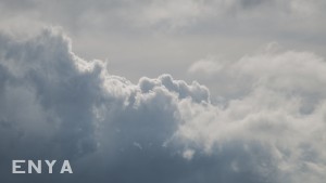 _DSC4191