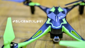 DSC_2155のコピー