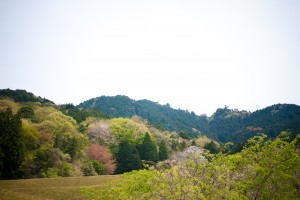DSC_8328