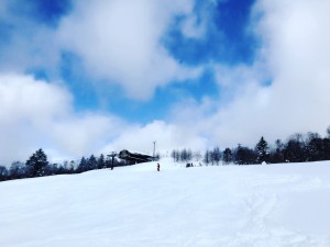 IMG_5143
