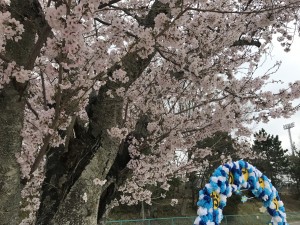 IMG_5402