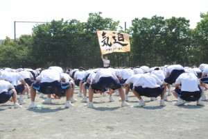 HRK_6653