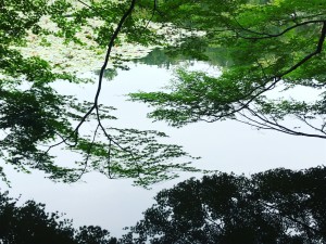 IMG_6560