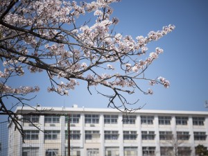 HRK_8090