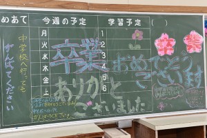 SHB_9574