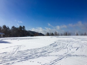 A37B8C08-EDBC-42D3-B330-A628648C849A