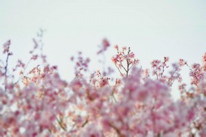 76F3963E-913B-4E84-BB6E-99C497FF0F53