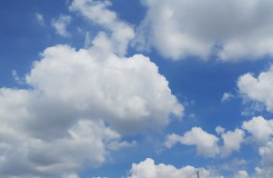 DSC_1251