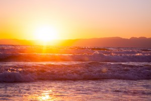 TSU_IMG_2442