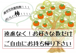 柿