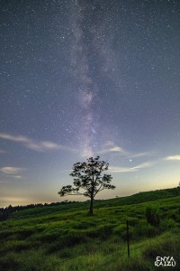 E80_9637