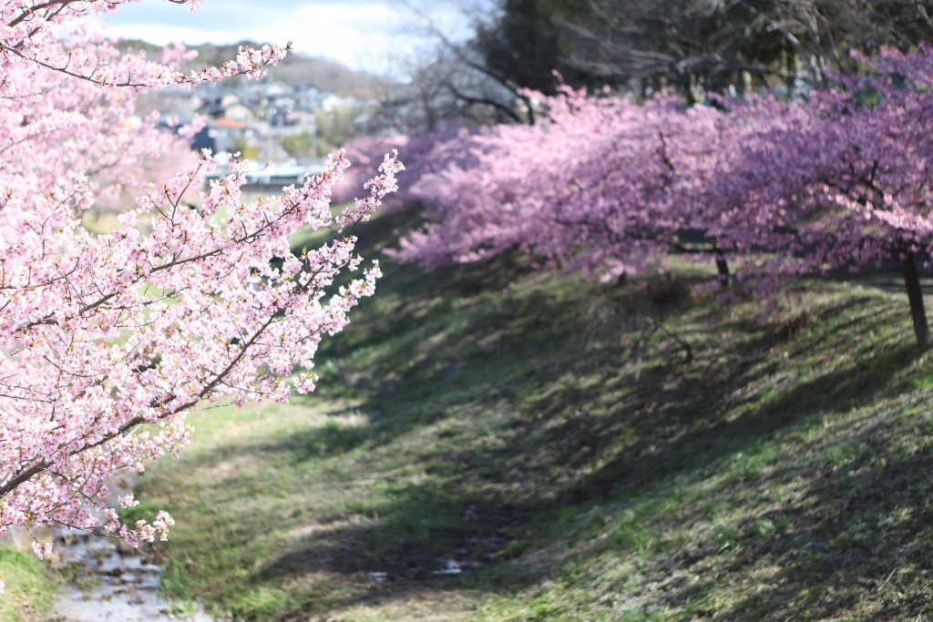 6D97539F-8BC3-4846-A7DD-E0CE693728A9