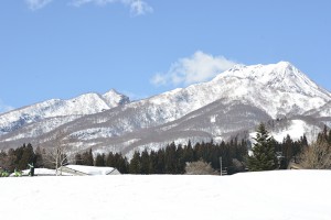 SHB_2987